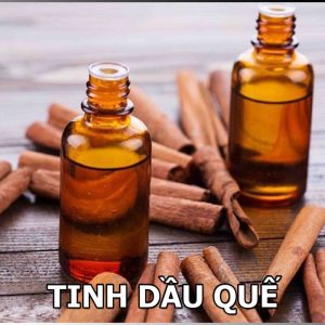 TINH DAU QUE