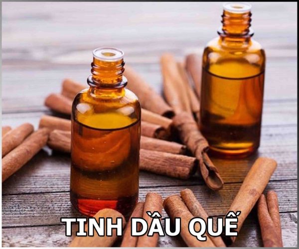 TINH DAU QUE