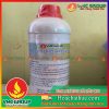 VMC-HƯƠNG HẢI SẢN C01