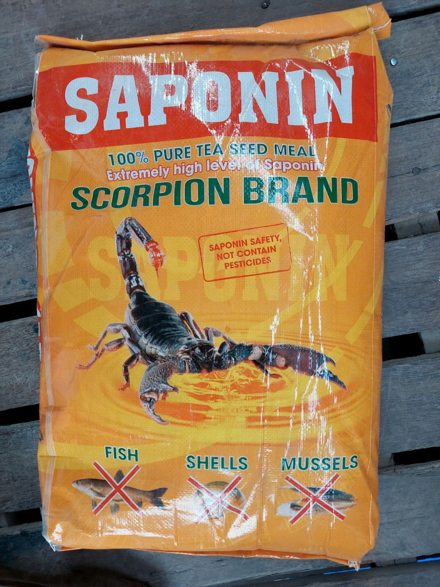 saponin1
