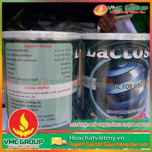 MEN TRỘN HỖ TRỢ ĐƯỜNG RUỘT LACTOSE