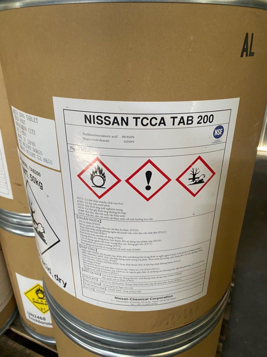NISSAN2
