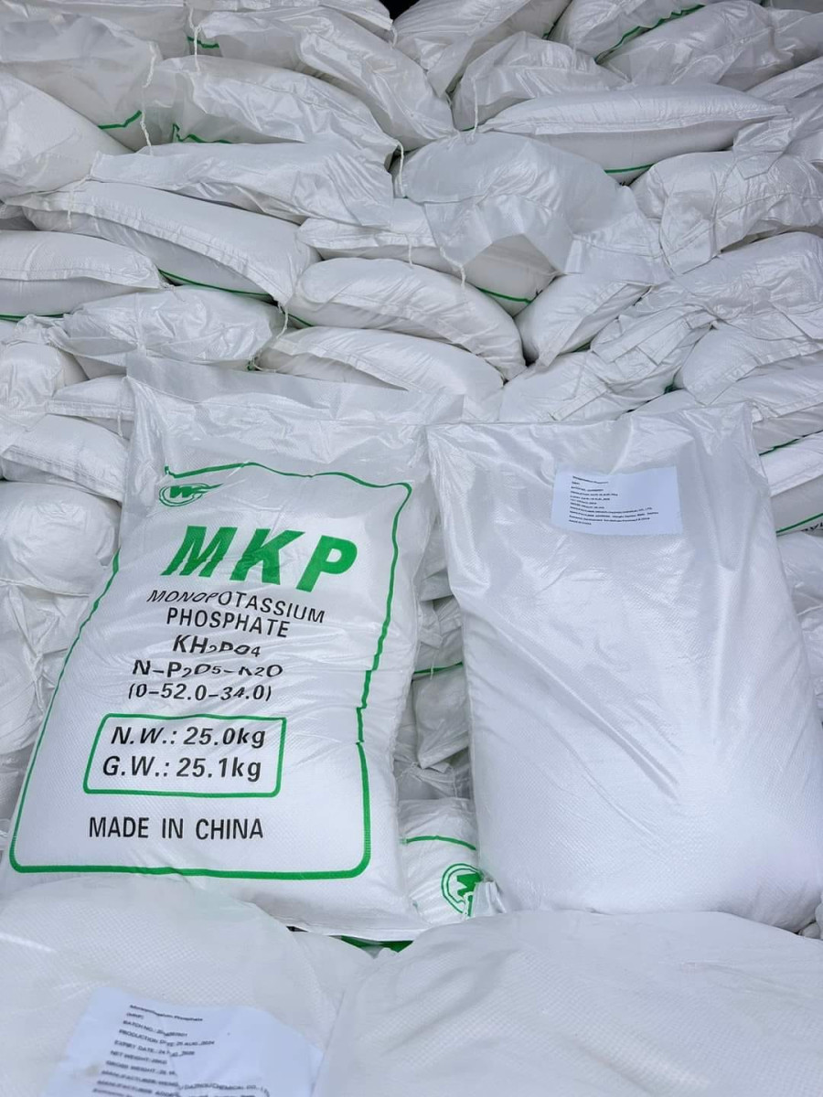 mkp1