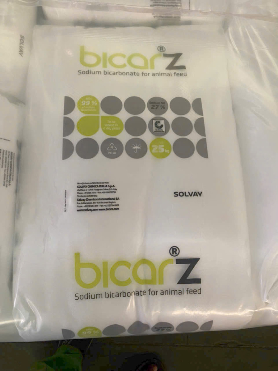 BICA1