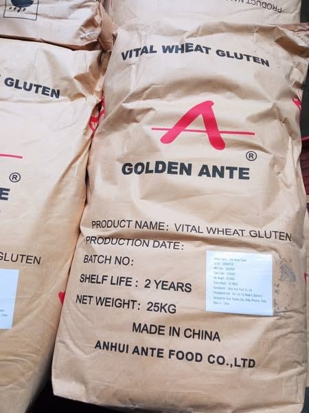 wheat gluten
