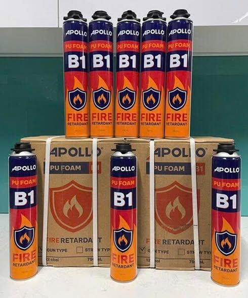 b1