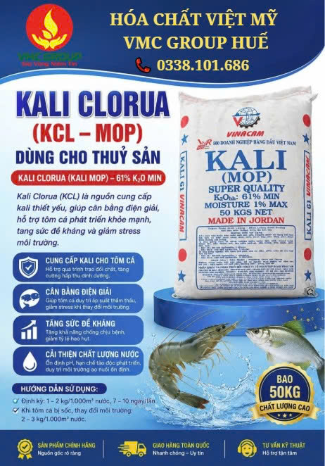 kali mop
