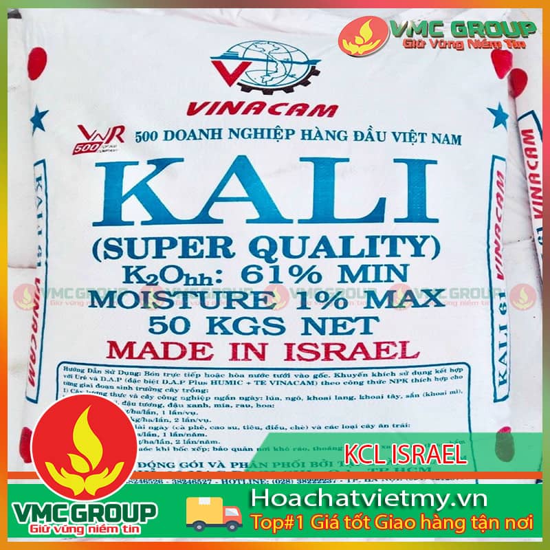 kcl-israel-1-min-1