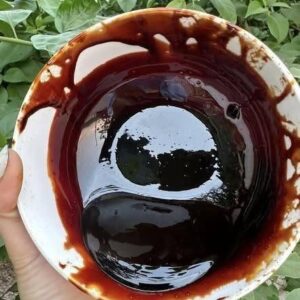 MẬT RỈ ĐƯỜNG - NGUỒN CACBON HỮU CƠ ĐA ỨNG DỤNG - Ảnh 3