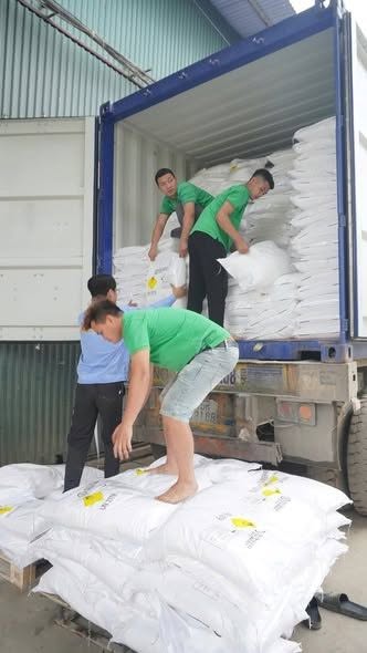Oxy Bột / Sodium Percarbonate - Ứng dụng công nghiệp, nông nghiệp, thủy sản - Ảnh 3