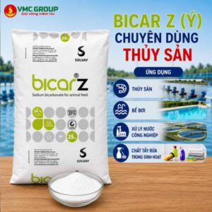 Bicar Z hãng Solvay Ý, Bicar Z Ý, Sodium Bicarbonate hàng thủy sản, Bicar Z, Sodium Bicarbonate, Natri Bicarbonate, Sodium hydrogen carbonate, Soda lạnh, Baking soda, Natrihydrocarbonat, Nahcolit…