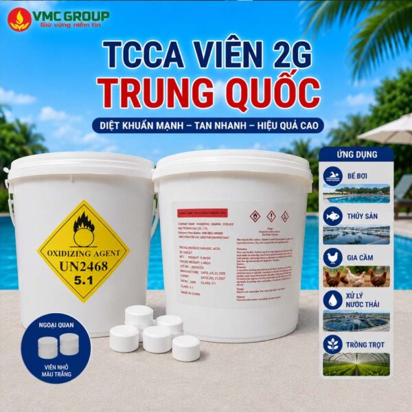 VIEN-NEN-TCCA-2G-XO-5KG-TRUNG-QUOC-600x600 (1)